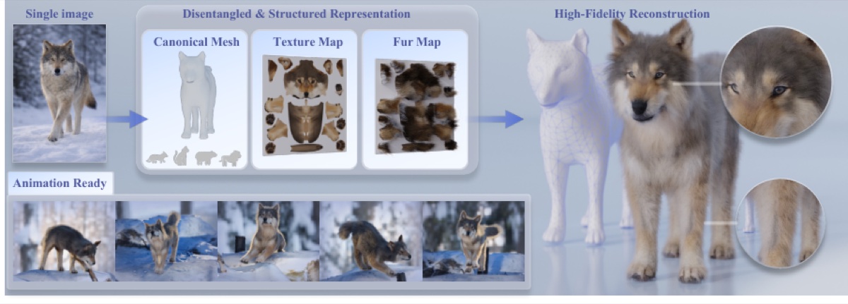 Teaser for AnimalLift: Reconstructing Animatable 3D Animals from a Single Image by Learning Canonical Shape, Texture, and Fur Maps